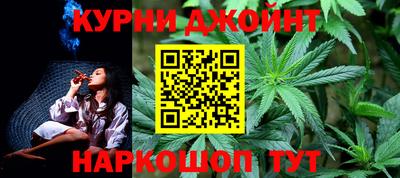 молекула духа Будённовск