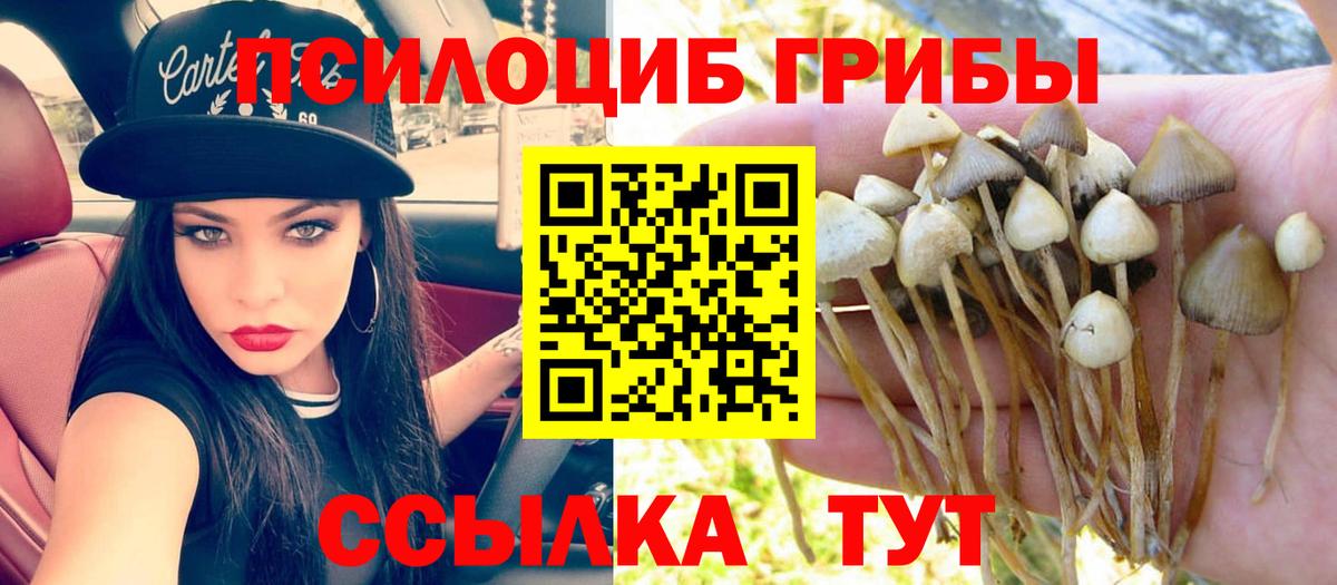 цена наркотик  Псилоцибиновые грибы ЛСД  Вход с VPN  Псилоцибиновые грибы прущие грибы  Дюртюли 