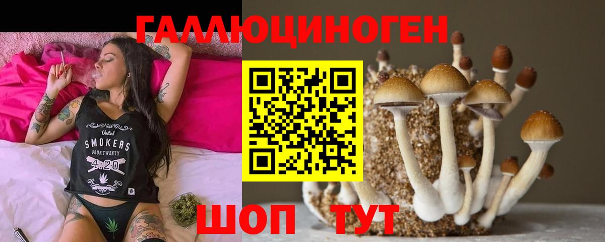 Псилоцибиновые грибы GOLDEN TEACHER Дюртюли